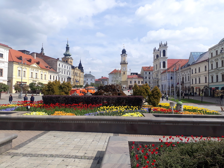 Rozkvitnuté jarné záhony tulipánov a dvojročných rastlín v meste